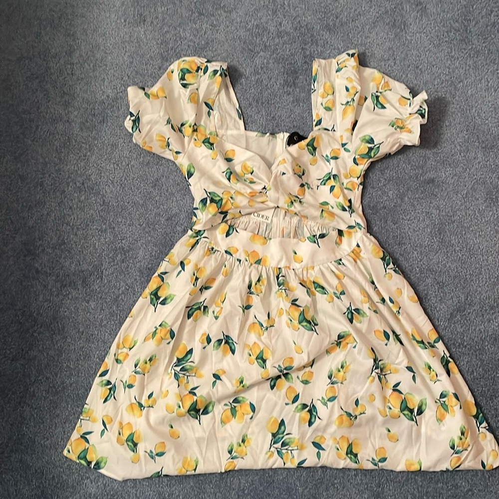 New Cider mini dress with tags